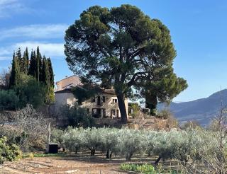 Cortijo El Pino Retreat - Albuñuelas - 5