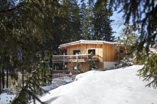 Appartement Waldhäusl - Neukirchen am Großvenediger - 8