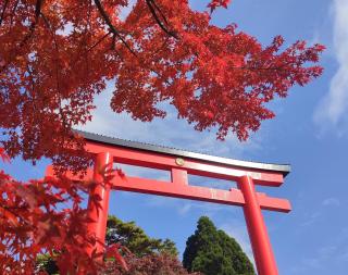 プライベート温泉付き隠れ家 Shankara Lodge ~stay & retreat~ - Kirishima - 6