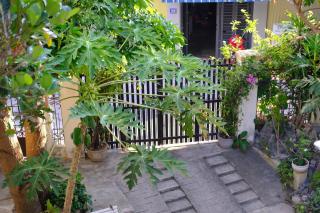 Moon house tropical garden - Coconut - 7