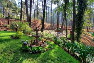 Cabaña rustica a 1km de cascada - 8