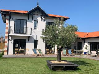 Le Jardin 51 - Andernos-les-Bains - 9