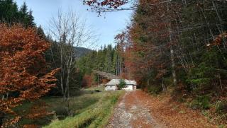 Cabana Pietricica - Dâmbovicioara - 9