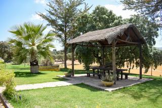 Finca La Lola - Secluded Hacienda - Archidona - 5