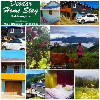 Deodar Homestay Dakbangla-kufri - Shimla - 8