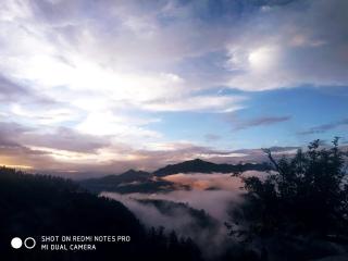 Deodar Homestay Dakbangla-kufri - Shimla - 7