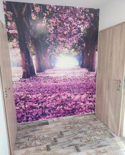 Ubytování Vistárie - 1