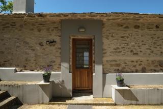 House Gecko - Mount Pelion - 4