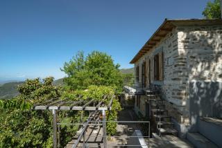 House Gecko - Mount Pelion - 0