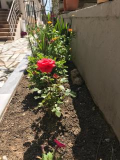 Oregon - Paralia Katerinis - 3