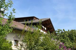 Bergmanns Ferienapartment - Debant - 8
