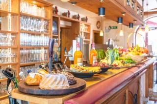 Apart Hotel Alpenhof Werfenweng - Werfenweng - 4
