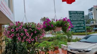 Friend Hotel Hà Giang - 1