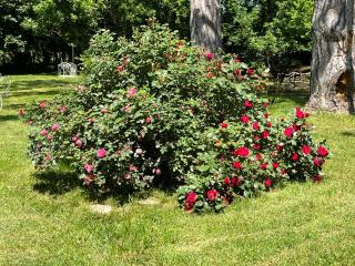 Chateau Du Four De Vaux - 3