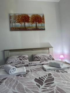 Apartman Aleks - Golubac - 4