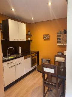 Weinrebe Oberhermsdorf nahe Dresden - 8