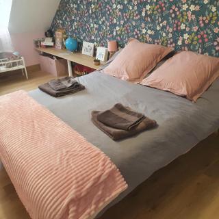 Chambre dans maison proche 24h du mans - 0