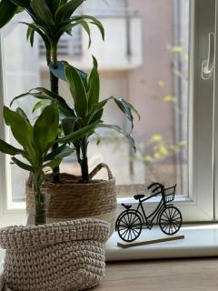 Apartment Ema - Novi Sad - 1