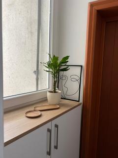 Apartment Ema - Novi Sad - 7