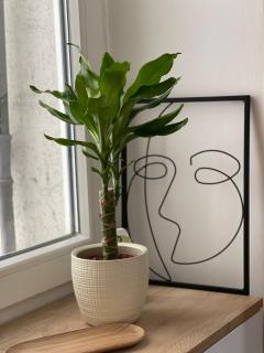 Apartment Ema - Novi Sad - 6