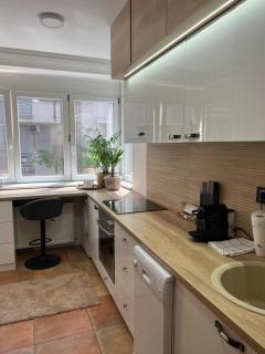 Apartment Ema - Novi Sad - 3