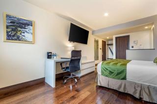 Quality Inn Chihuahua San Francisco - Chihuahua - 5