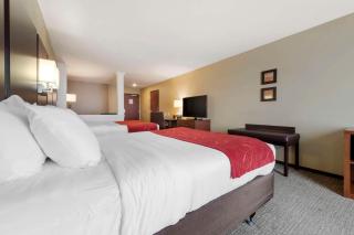 Comfort Suites & Conference Center - 2