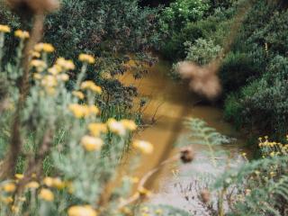 Zwakala River Retreat - Haenertsburg - 5