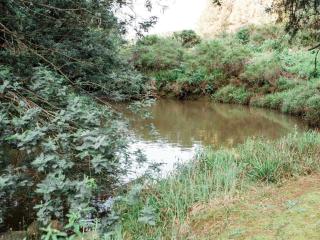 Zwakala River Retreat - Haenertsburg - 3