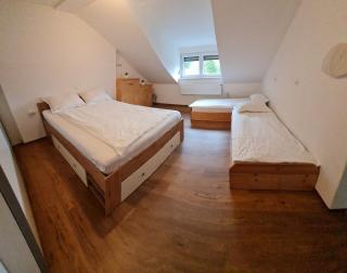 Apartment Ina - Kranjska Gora - 4