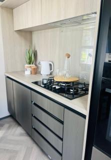 The Kestrel Lodge with Hot tub - 3