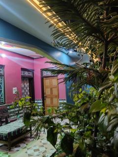 The Nature View Homestay - - 2