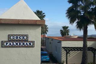 Doce Palmeras, stunning villa in beautiful gardens - La Oliva - 5
