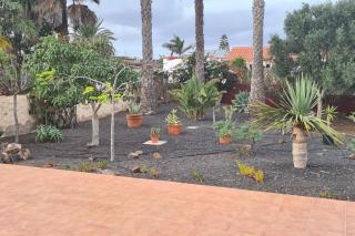 Doce Palmeras, stunning villa in beautiful gardens - La Oliva - 4
