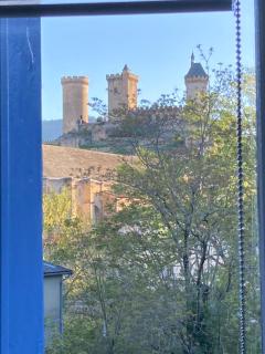 AUX 4 LOGIS Appart-hotel - Studio Le Flore - Petit déjeuner inclus 1ère nuit - Foix - 8