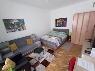 Piac Street Apartment -Debrecen - Debrecen - 3