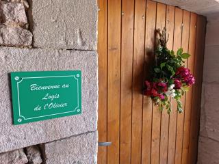 Logis de l'Olivier - Asnières-sur-Nouère - 9