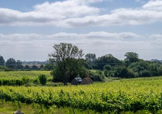 The Old Cowshed - Stone - 4
