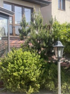 Akme APARTMENTS & ROOMS & FREE PARKING - Gdańsk - 8