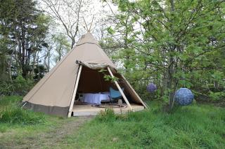 Tipi Texel - 't Horntje - 0