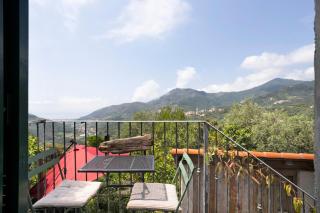 Green Cactus House - La Spezia - 6