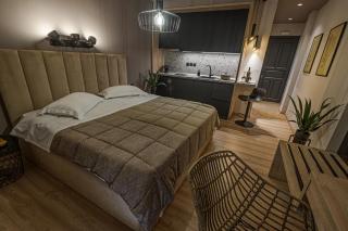 Eleni Zirganou Studios & Apartments - Milina - 8