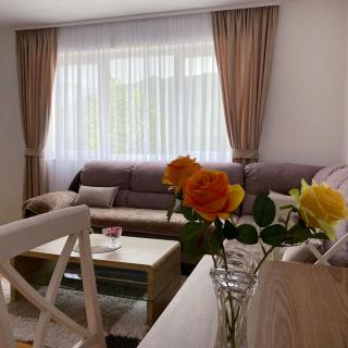 Apartment Varezić - Plužine - 9