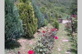 CASA DRENCOVA SRL - Berzasca - 8