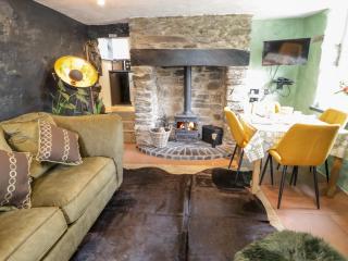 Bron Celyn Bach - Betws-y-coed - 8