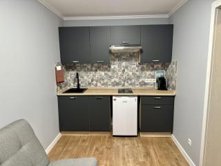 Carpathian Dream Apartments - 4