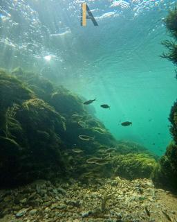 Watermill 102 - Apartment Krupana - 2