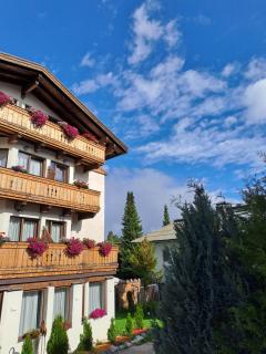 Zwei Hirsche - Seefeld in Tirol - 8