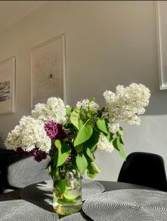 SEASIDE APARTMENT - Liepāja - 4