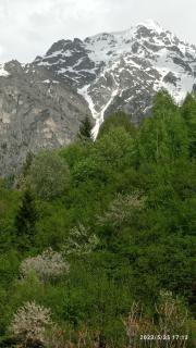 Guesthouse MAMUKA zhabesh - 3